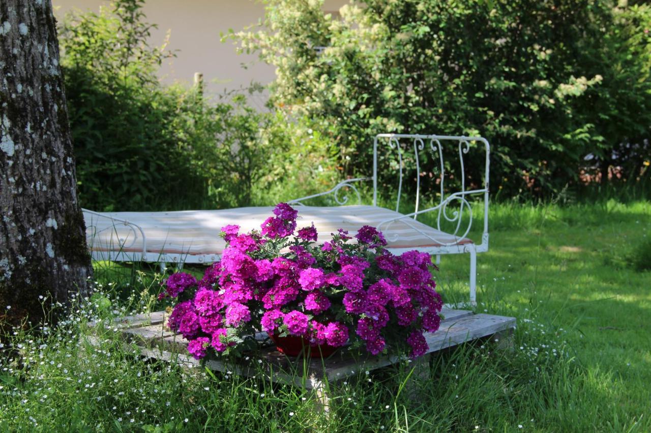 Les Tilleuls Saint-Jean-d'Avelanne ภายนอก รูปภาพ